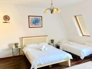 Апарт-отели Pannonia Apartments Сату-Маре Улучшенный двухместный номер с 1 кроватью-2